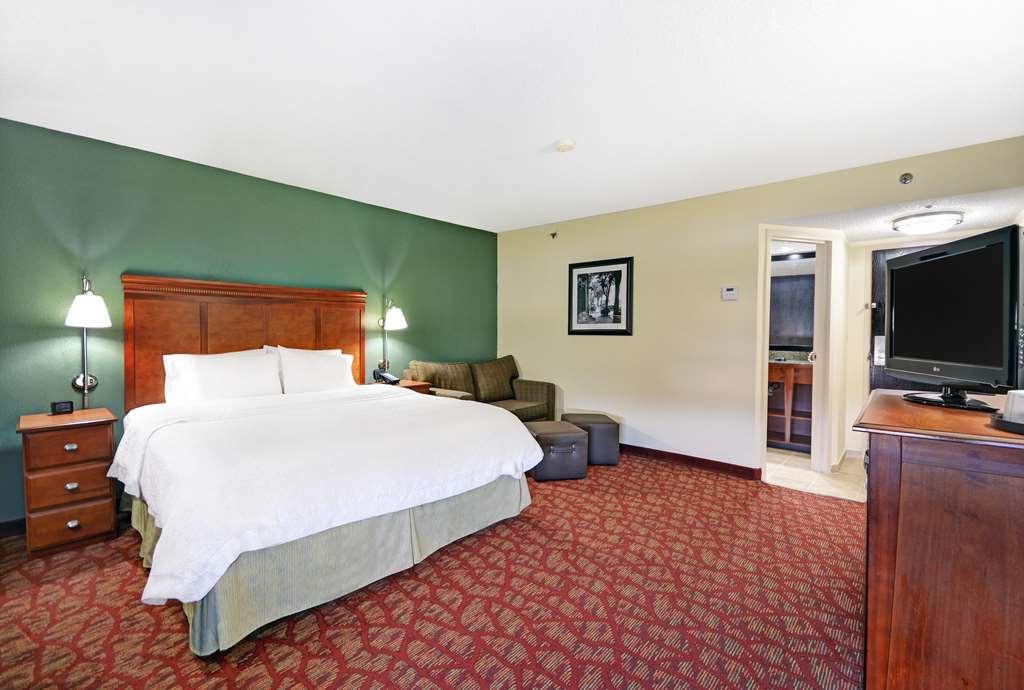 Hampton Inn Athens Pokój zdjęcie